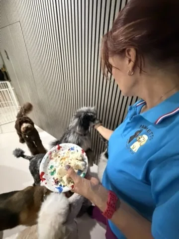 A caretaker sharing a treat with a guest during a celebration